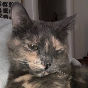 Meet your Posher, Willa